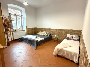 Pronájem atypického bytu, Strmilov - Česká Olešná, 100 m2
