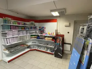 Pronájem obchodního prostoru, Jirny, Tovární, 256 m2