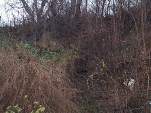 Prodej rodinného domu, Nemotice, 39 m2