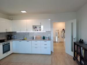 Pronájem bytu 2+kk, Praha - Žižkov, Olgy Havlové, 52 m2