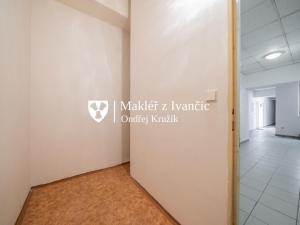 Prodej bytu 1+kk, Dolní Kounice, Masarykovo náměstí, 35 m2