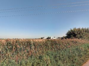 Prodej pole, Brno - Chrlice, 3449 m2