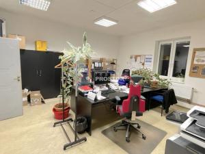 Pronájem obchodního prostoru, Jirny, Tovární, 631 m2