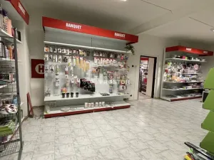 Pronájem obchodního prostoru, Jirny, Tovární, 537 m2