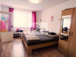 Pronájem bytu 2+1, Hrušovany nad Jevišovkou, 65 m2