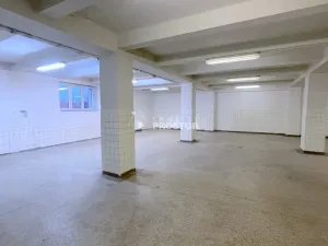 Pronájem skladu, Jirny, Tovární, 221 m2
