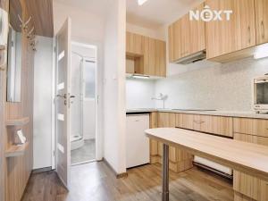 Pronájem bytu 1+kk, Žatec, Sládkova, 25 m2