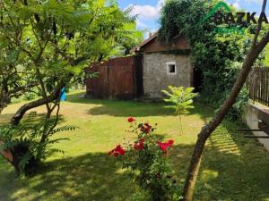 Prodej rodinného domu, Vranov - Svinná, 250 m2