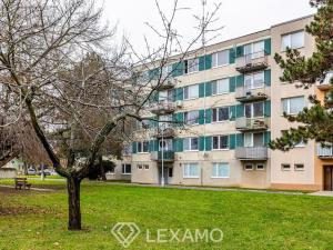 Pronájem bytu 1+1, Znojmo, Dukelských bojovníků, 33 m2