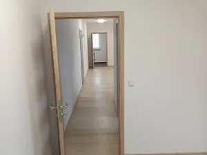 Pronájem bytu 1+1, Blatná, 55 m2