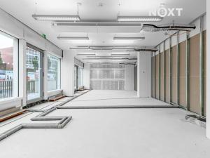Pronájem obchodního prostoru, Praha - Nusle, Lomnického, 45 m2