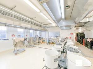 Pronájem výrobních prostor, Neratovice, Na Výsluní, 140 m2