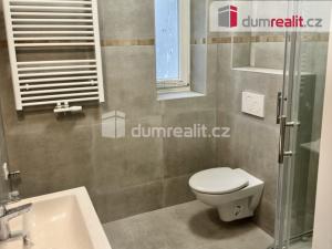 Pronájem bytu 2+1, Ústí nad Labem, Palachova, 65 m2