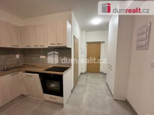 Pronájem bytu 2+1, Ústí nad Labem, Palachova, 65 m2