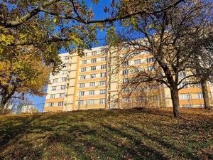 Prodej bytu 2+1, Ústí nad Labem - Severní Terasa, Svojsíkova, 50 m2