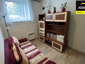 Pronájem bytu 1+1, Opava, Křižíkova, 48 m2