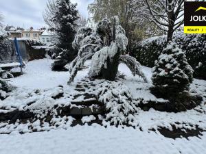 Pronájem bytu 1+1, Opava, Křižíkova, 48 m2