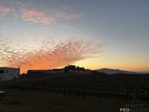 Pronájem bytu 2+1, Zaječí, Domky, 65 m2