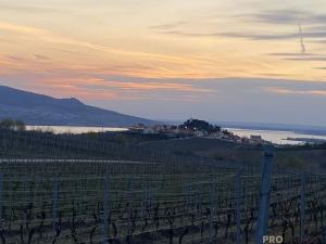 Pronájem bytu 2+1, Zaječí, Domky, 65 m2