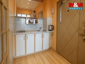 Pronájem bytu 1+kk, Praha - Vokovice, Evropská, 22 m2