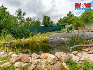 Prodej zemědělské usedlosti, Dobev - Malé Nepodřice, 444 m2