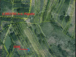 Prodej podílu lesa, Popelín, 10176 m2