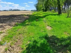 Prodej podílu lesa, Pacov, 1301 m2