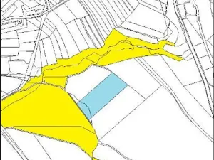 Prodej podílu lesa, Pacov, 475 m2