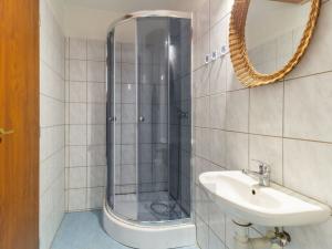 Prodej rodinného domu, Dolní Dvořiště - Jenín, 341 m2