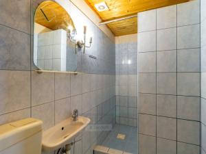 Prodej rodinného domu, Dolní Dvořiště - Jenín, 341 m2