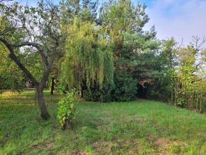 Prodej rodinného domu, Vlčí Habřina, 75 m2