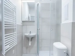 Prodej bytu 1+kk, Ostrava - Přívoz, Palackého, 22 m2