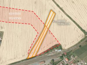 Prodej pozemku pro bydlení, Mladotice, 6693 m2