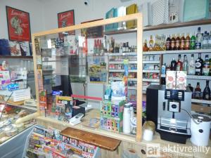 Prodej obchodního prostoru, Žatec - Bezděkov, 190 m2