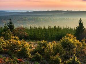 Prodej bytu 3+kk, Loučná pod Klínovcem, 95 m2