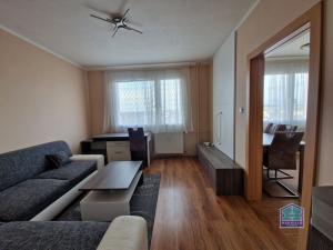 Pronájem bytu 1+1, Stříbro, Větrná, 38 m2