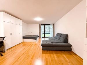 Pronájem bytu 1+kk, Praha - Žižkov, Ke kapslovně, 53 m2