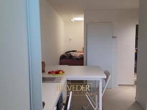 Pronájem bytu 1+kk, Teplice, Petra Jilemnického, 26 m2