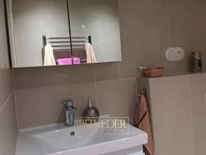 Pronájem bytu 1+kk, Teplice, Petra Jilemnického, 26 m2