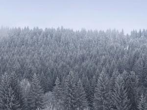 Prodej bytu 1+kk, Loučná pod Klínovcem, 28 m2