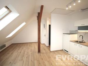 Pronájem bytu 1+kk, Praha - Žižkov, Biskupcova, 33 m2