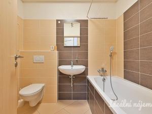 Pronájem bytu 1+kk, Brno, Sedláčkova, 32 m2