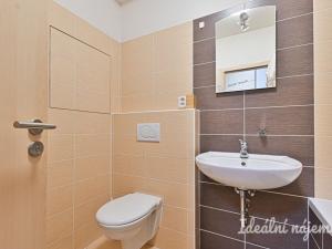 Pronájem bytu 1+kk, Brno, Sedláčkova, 32 m2