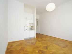 Pronájem bytu 1+kk, Praha - Staré Město, Martinská, 32 m2