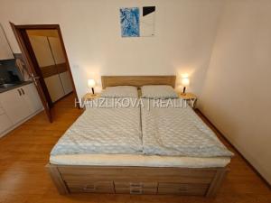 Pronájem bytu 1+kk, České Budějovice - České Budějovice 2, U Lesa, 26 m2