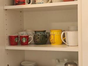 Pronájem bytu 1+kk, České Budějovice - České Budějovice 2, U Lesa, 26 m2