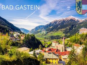 Prodej komerčního pozemku, Bad Gastein,Rakousko, 8724 m2