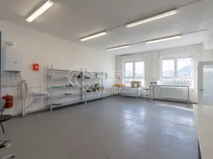 Pronájem výrobních prostor, Frenštát pod Radhoštěm, Martinská čtvrť, 966 m2