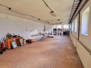Prodej výrobních prostor, Habrovany, 319 m2