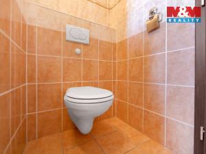 Pronájem bytu 3+kk, Osvračín, 78 m2